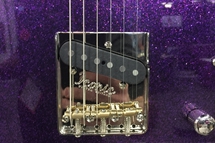 Tele-style bridge plate